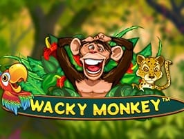 Wacky Monkey screenshot